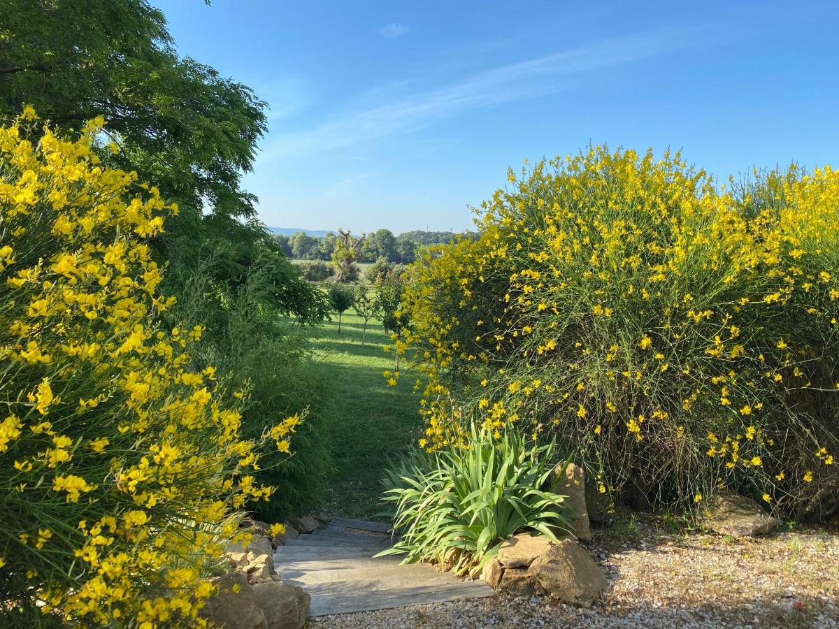 Le Clos De La Tuiliere Grignan Bagian luar foto